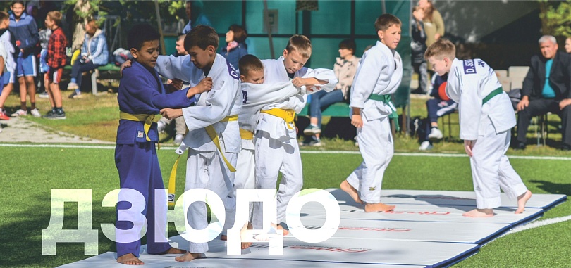 Дзюдо